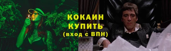 стаф Покров