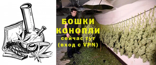 прущие грибы Абдулино