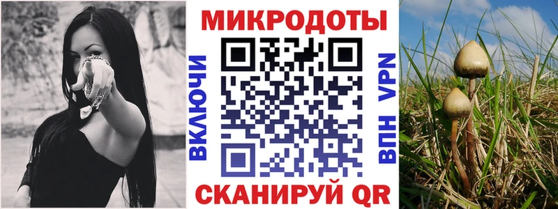 Галлюциногенные грибы мухоморы где купить Мурино