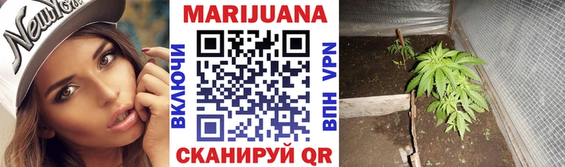 Бошки марихуана Bruce Banner  Мурино 
